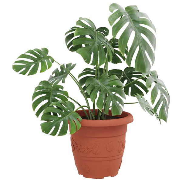 vidaXL R&uacute;n bl&oacute;mapotta 24 pcs Ekkert Rautt &Oslash; 26 x 21.5 cm Plast