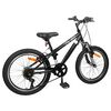 vidaXL Kids Mountain Bike 20 Tommur 6-Speed fyrir 5-8 &aacute;ra Svartur