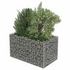 vidaXL Gabion Grj&oacute;tkassi Upph&aelig;kka&eth; Bl&oacute;maker S&iacute;nkh&uacute;&eth;a&eth; st&aacute;l 90x50x50 cm