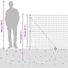 Sm&aacute;mynd af v&ouml;ru 15 af 16