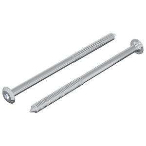 vidaXL Skr&uacute;fa 2 pcs Silfur M6 x 100 mm St&aacute;l