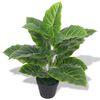 vidaXL Gerviplanta &THORN;errir&oacute;t me&eth; Bl&oacute;mapotti 45 cm Gr&aelig;n