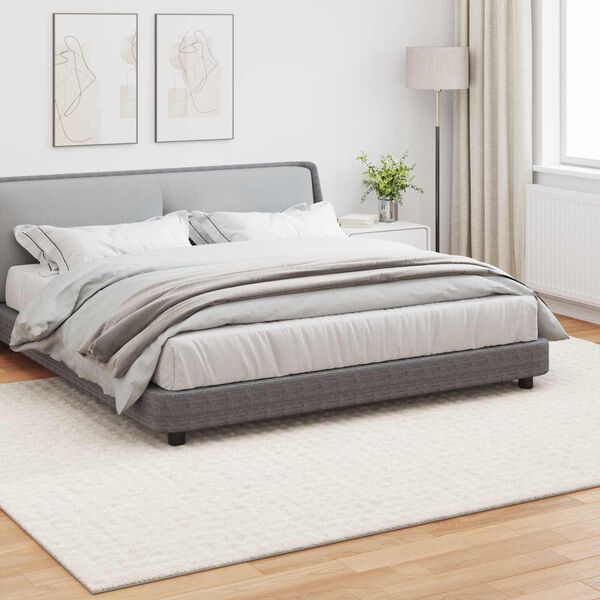 vidaXL Sv&aelig;&eth;isteppi HUARTE Rj&oacute;malitur 340 x 240 cm P&oacute;l&yacute;ester