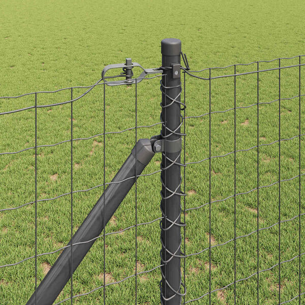 S&yacute;nir v&ouml;rumynd 4 af 16