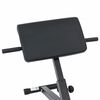 vidaXL Hyperextension bekkur Svartur 100.5 x 70 x 78 cm Dufth&uacute;&eth;a&eth; st&aacute;l