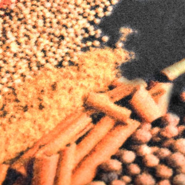 vidaXL G&oacute;lfmotta &iacute; Eldh&uacute;s &THORN;vottheld Krydd Prent 60x180 cm