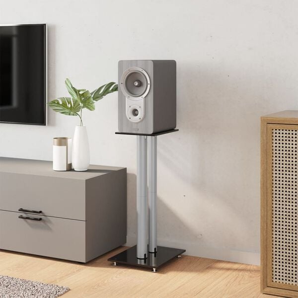 vidaXL Hátalarastandar 2 stk. Svart&Silfur Hert Gler 2 Súlur