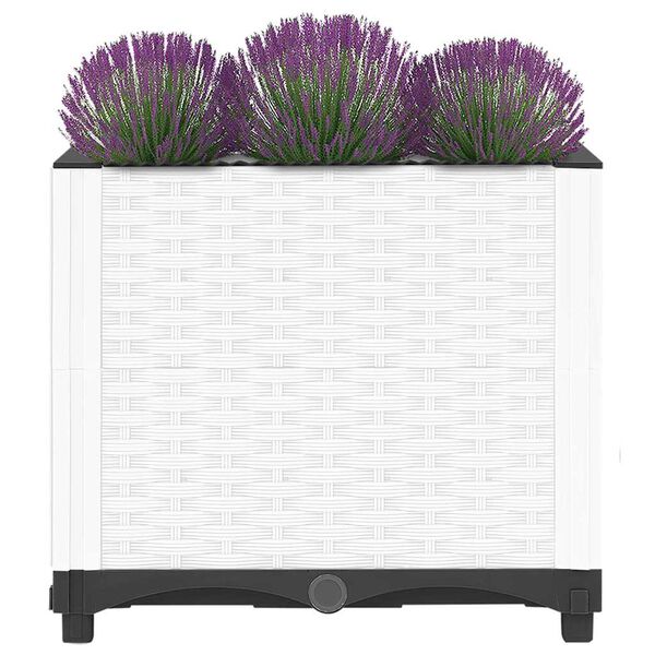 S&yacute;nir v&ouml;rumynd 3 af 8