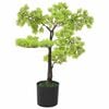 vidaXL Gerviplanta K&yacute;prusvi&eth;ur Dvergtr&eacute; me&eth; Potti 60 cm Gr&aelig;n