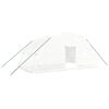 vidaXL gr&oacute;&eth;urh&uacute;s me&eth; st&aacute;lgrind hv&iacute;tt 24 m&sup2; 6x4x2,85 m