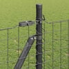 Sm&aacute;mynd af v&ouml;ru 4 af 11