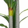 vidaXL gervi Dracaena tré 36 lauf 120 cm Grænt