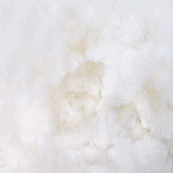 vidaXL Fylling af fr&aelig;&eth;um Hv&iacute;t 1 kg P&oacute;l&yacute;ester