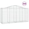vidaXL Bogadregnir Grj&oacute;tkassar 40 stk. 200x50x100/120cm Sinkh&uacute;&eth;a&eth; J&aacute;rn