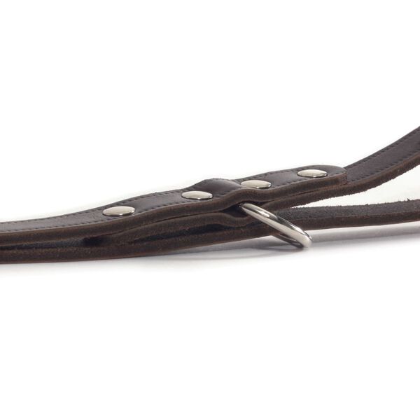 Beeztees &AElig;fingataumur Le&eth;ur Br&uacute;nn 200x1,2 cm 736401