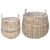 vidaXL Pl&ouml;ntuk&ouml;rfu me&eth; geymslu 2 pcs Gr&aacute;r Lacak Rattan