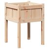 vidaXL Gar&eth;pl&ouml;ntukassi N&aacute;tt&uacute;ra 50 x 50 x 70 cm Solid furuhikk