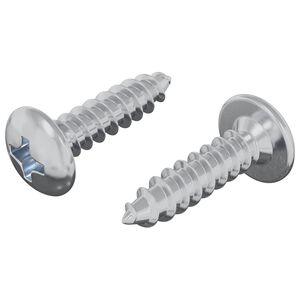 vidaXL Skr&uacute;fa 2 pcs Silfur M4 x 16 mm St&aacute;l