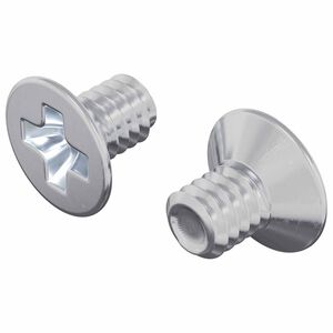 vidaXL D&yacute;f&eth;ra h&aacute;ls skr&uacute;fur 2 pcs Silfur M4 x 6 mm St&aacute;l