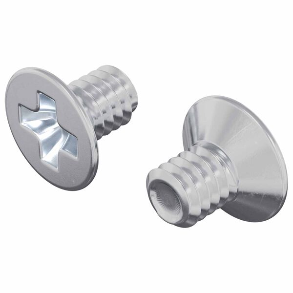 vidaXL D&yacute;f&eth;ra h&aacute;ls skr&uacute;fur 2 pcs Silfur M4 x 6 mm St&aacute;l