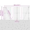 Sm&aacute;mynd af v&ouml;ru 13 af 17