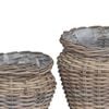vidaXL Pl&ouml;ntuk&ouml;rfu me&eth; geymslu 2 pcs Gr&aacute;r Lacak rattan
