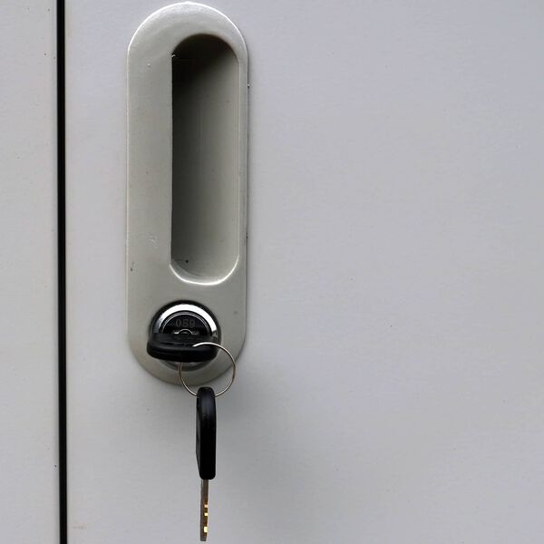 vidaXL L&aacute;ssk&aacute;pur Gr&aacute;r 45 x 90 x 180 cm