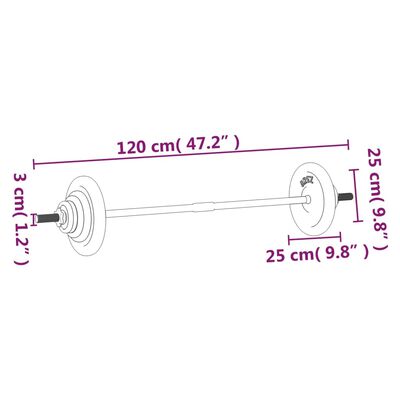 vidaXL Lóðsett með Plötum 30 kg Steypujárn