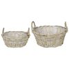 vidaXL Pl&ouml;ntuk&ouml;rfu me&eth; geymslu 2 pcs Gr&aacute;r Lacak rattan