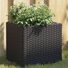 vidaXL Gr&oacute;&eth;urker Svart 2 stk 36x30x32 cm P&oacute;l&yacute;rattan