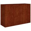 vidaXL Upph&aelig;kka&eth; Gar&eth;ker 120x40x80 cm Corten St&aacute;l