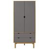 Brown_and_grey