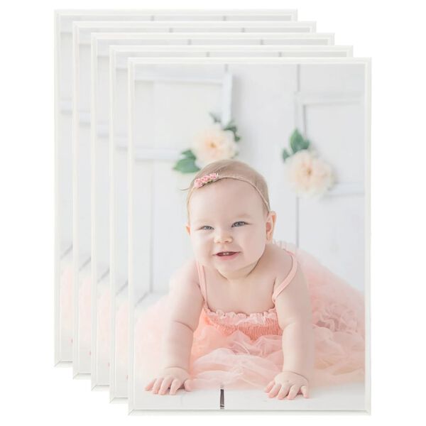 vidaXL Myndarammar 5 stk. &aacute; Bor&eth; Silfur 21x29,7 cm MDF