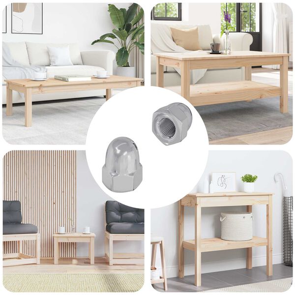 vidaXL Eikarn&ouml;t 2 pcs Silfur M6 x 10 mm J&aacute;rn