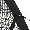 vidaXL Baseball Batting Cage Net Svart 500x400x250 cm P&oacute;l&yacute;ester