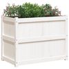 Sm&aacute;mynd af v&ouml;ru 4 af 11