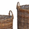 vidaXL Pl&ouml;ntuk&ouml;rfu me&eth; geymslu 2 pcs Br&uacute;nn Lacak Rattan