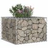 vidaXL Gabion h&aelig;kka&eth; r&uacute;m Silfur 60 x 60 x 40 cm Galvaniserad st&aacute;l