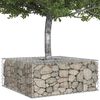 vidaXL Gabion h&aelig;kka&eth; r&uacute;m Silfur 100 x 100 x 40 cm Galvaniserad st&aacute;l