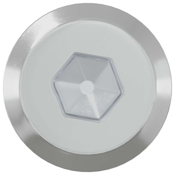 vidaXL H&uacute;sgagnaskr&uacute;fur 2 pcs Silfur M6 x 60 mm St&aacute;l