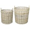 vidaXL Pl&ouml;ntuk&ouml;rfu me&eth; geymslu 2 pcs Gr&aacute;r Lacak Rattan