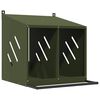 vidaXL kj&uacute;klingahrei&eth;urbox me&eth; 2 h&oacute;lfum Olive Green Metal