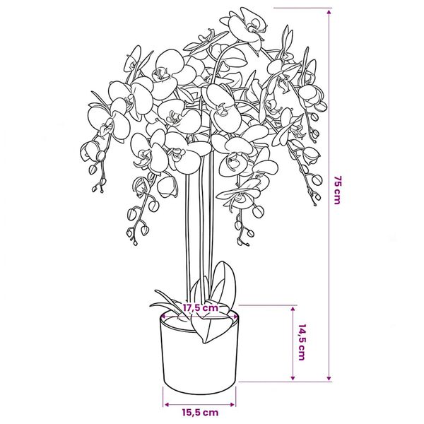 S&yacute;nir v&ouml;rumynd 3 af 3