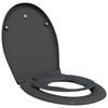 vidaXL WC sete Antras&iacute;t 47 x 37 x 4 cm Duroplast