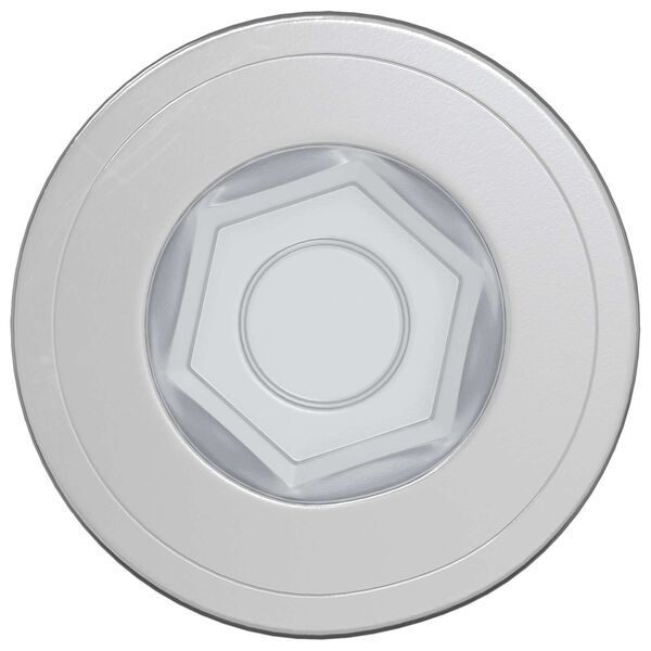 vidaXL H&uacute;sgagnaskr&uacute;&eth;ur 2 pcs Silfur &Oslash;7 x 58 mm M&aacute;lmur