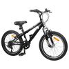 vidaXL Kids Mountain Bike 20 Tommur 6-Speed fyrir 5-8 &aacute;ra Svartur