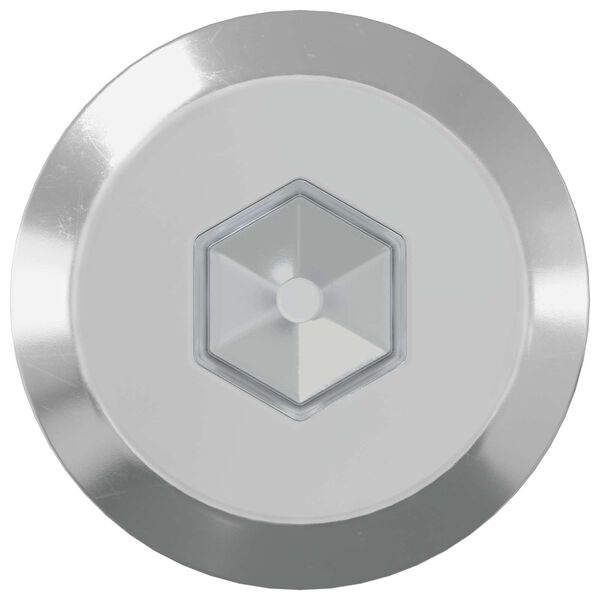 vidaXL H&uacute;sgagnaskr&uacute;fur 2 pcs Silfur M6 x 70 mm St&aacute;l