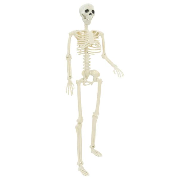 S&yacute;nir v&ouml;rumynd 4 af 8