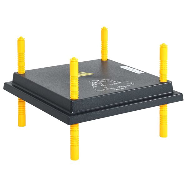 vidaXL Hitaplata fyrir Unga og Andarunga me&eth; Hitastilli