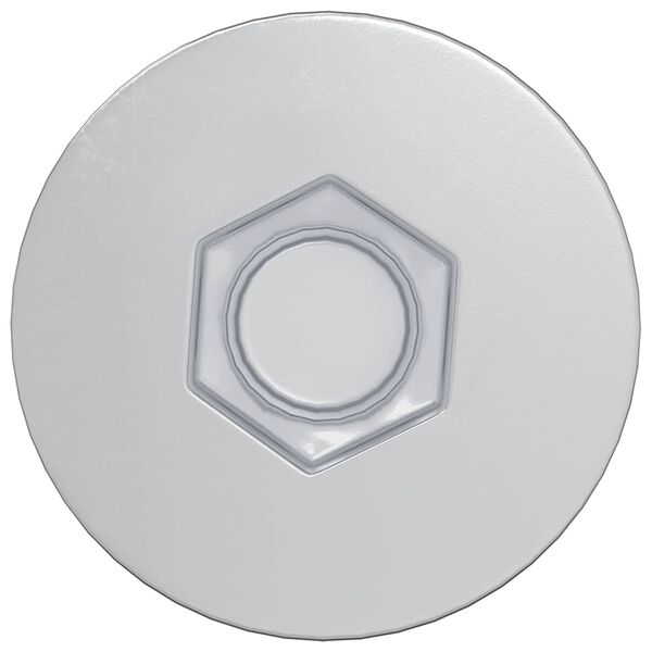 vidaXL H&uacute;sgagnaskr&uacute;&eth;ur 2 pcs Silfur &Oslash;7 x 50 mm M&aacute;lmur